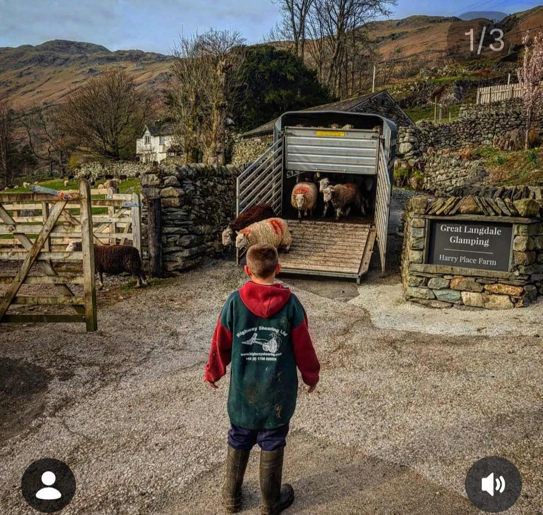 Lake District Glamping, Great Langdale